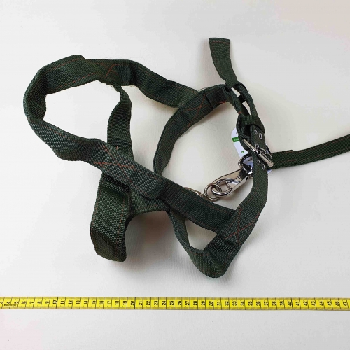 ERŐS HÁM ÉS PÓRÁZ